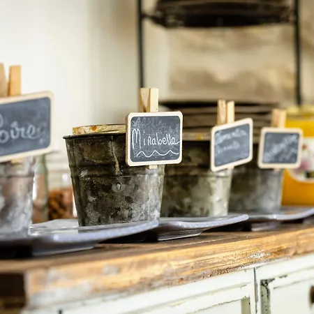 莱斯温茨布勒斯酒店 4* Donnazac